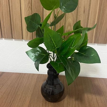 Rosana House Bem Estar Em Barreirinhas Ideal Para 5 Pessoas エクステリア 写真